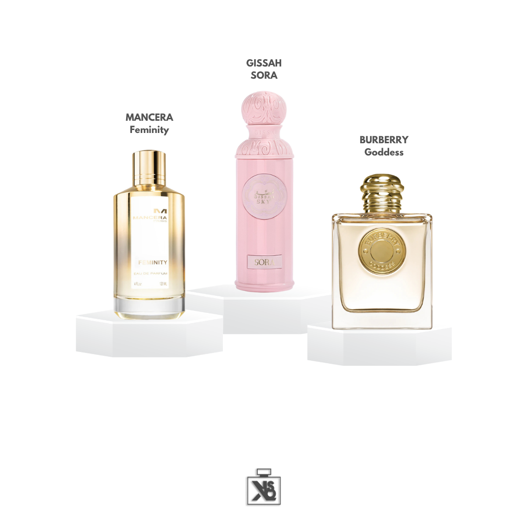 Packs decants 'Soirée' pour femme - 5ml/10ml